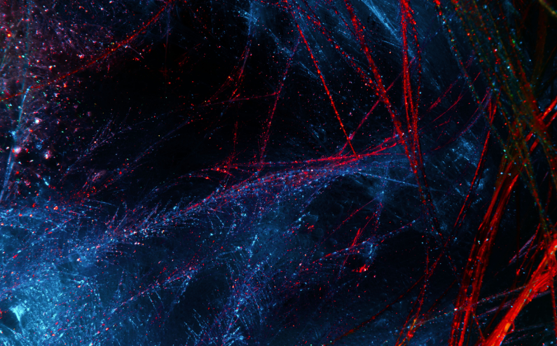 廈門弘愛BNCT臨床示范中心累計完成12例患者試治